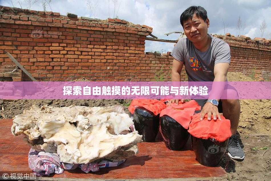 探索自由触摸的无限可能与新体验