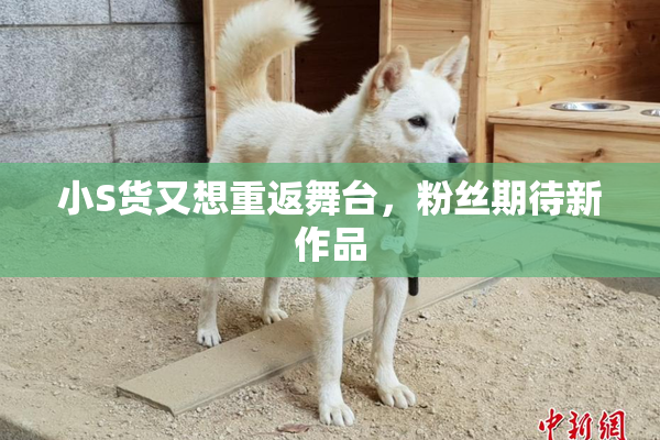 小S货又想重返舞台，粉丝期待新作品