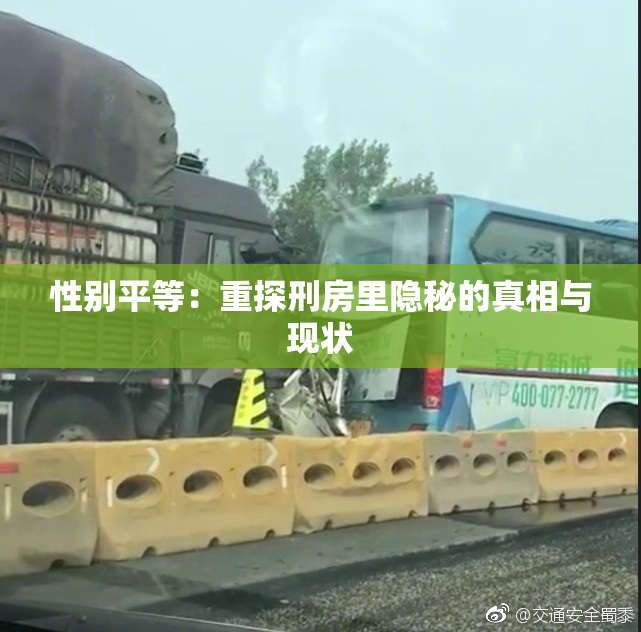 性别平等：重探刑房里隐秘的真相与现状