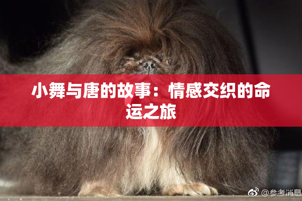 小舞与唐的故事：情感交织的命运之旅