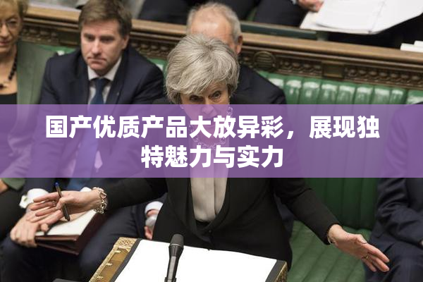 国产优质产品大放异彩，展现独特魅力与实力