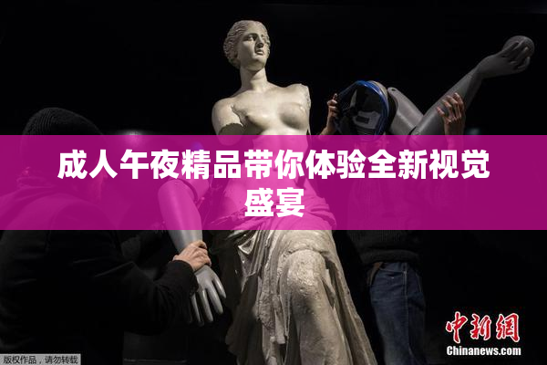 成人午夜精品带你体验全新视觉盛宴