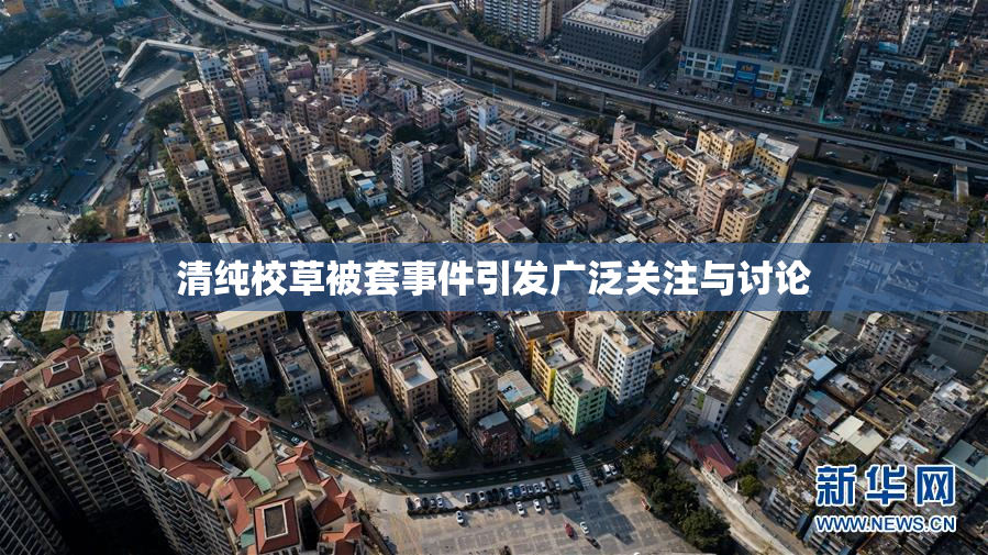 清纯校草被套事件引发广泛关注与讨论