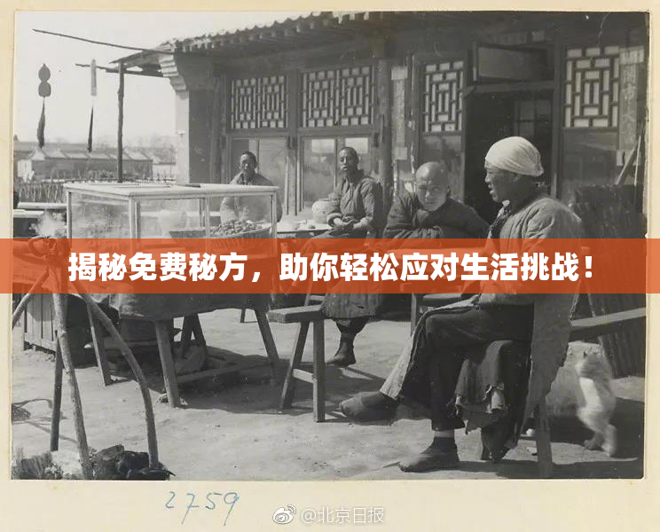 揭秘免费秘方，助你轻松应对生活挑战！
