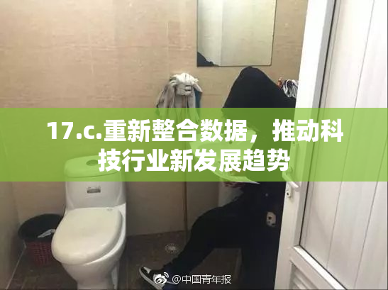 17.c.重新整合数据，推动科技行业新发展趋势