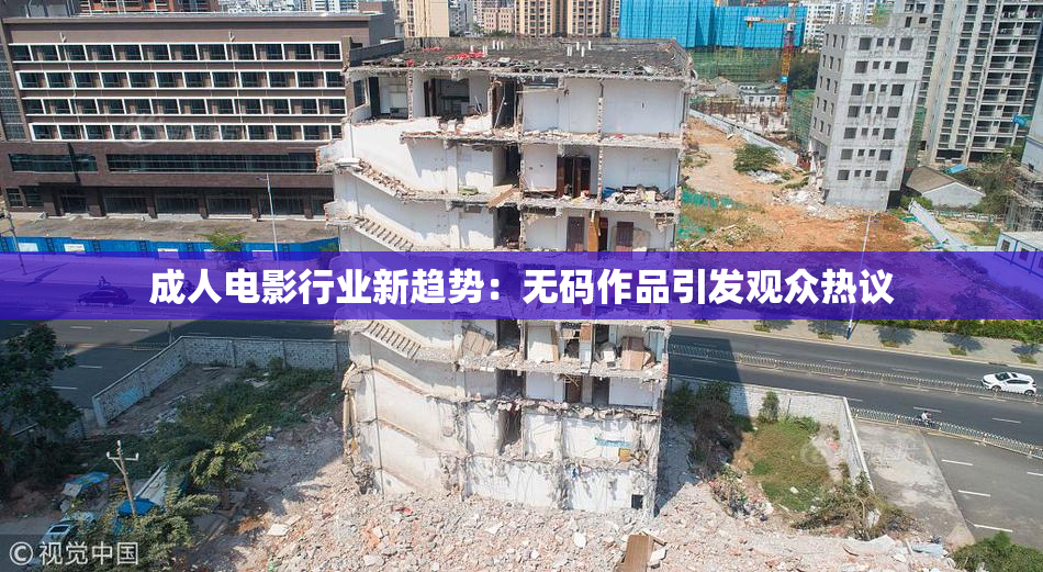 成人电影行业新趋势：无码作品引发观众热议