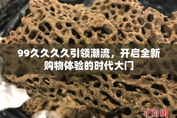 99久久久久引领潮流，开启全新购物体验的时代大门