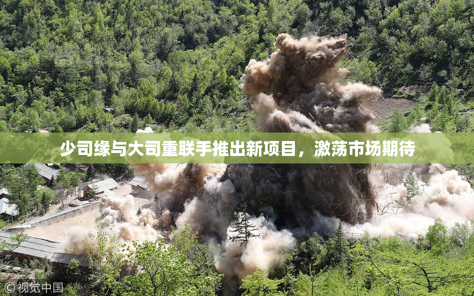 少司缘与大司重联手推出新项目，激荡市场期待
