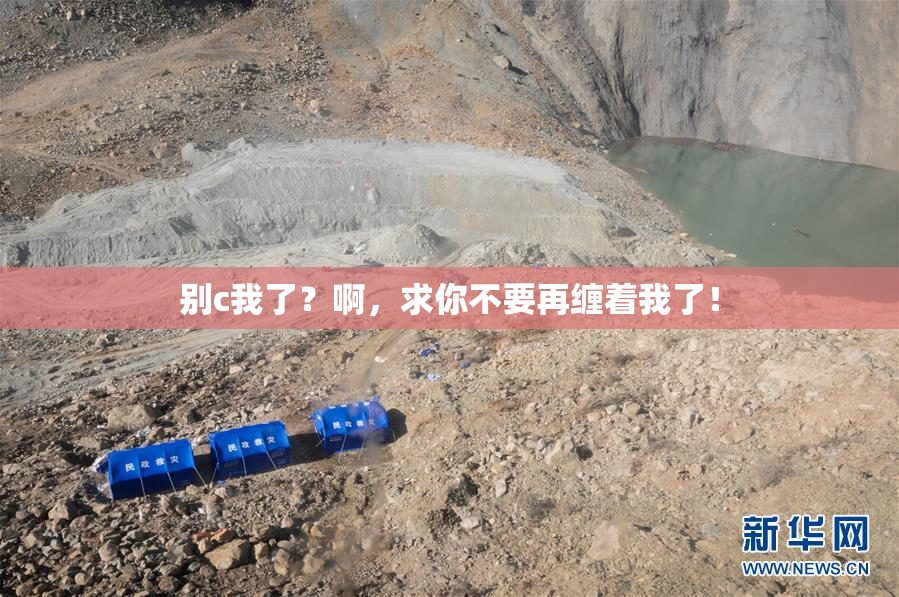 别c我了？啊，求你不要再缠着我了！
