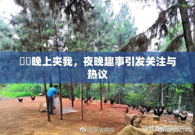 妺妺晚上夹我，夜晚趣事引发关注与热议
