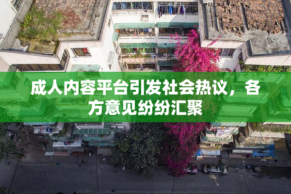 成人内容平台引发社会热议，各方意见纷纷汇聚