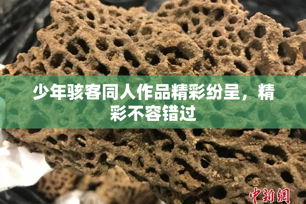 少年骇客同人作品精彩纷呈，精彩不容错过