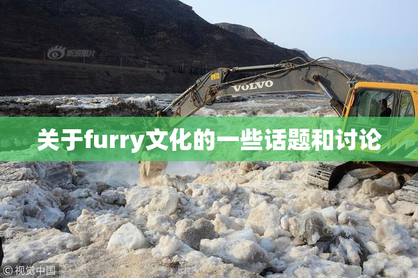 关于furry文化的一些话题和讨论