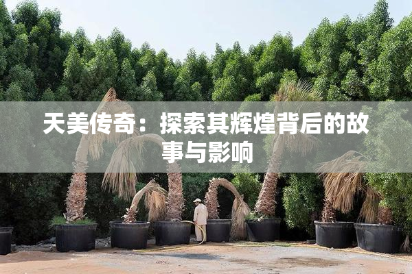 天美传奇：探索其辉煌背后的故事与影响