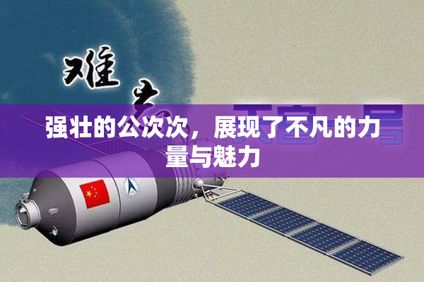 强壮的公次次，展现了不凡的力量与魅力