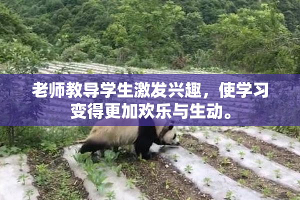 老师教导学生激发兴趣，使学习变得更加欢乐与生动。