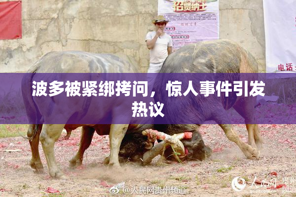波多被紧绑拷问，惊人事件引发热议