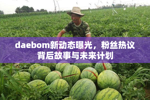 daebom新动态曝光，粉丝热议背后故事与未来计划