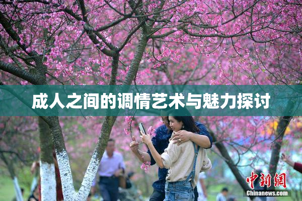 成人之间的调情艺术与魅力探讨