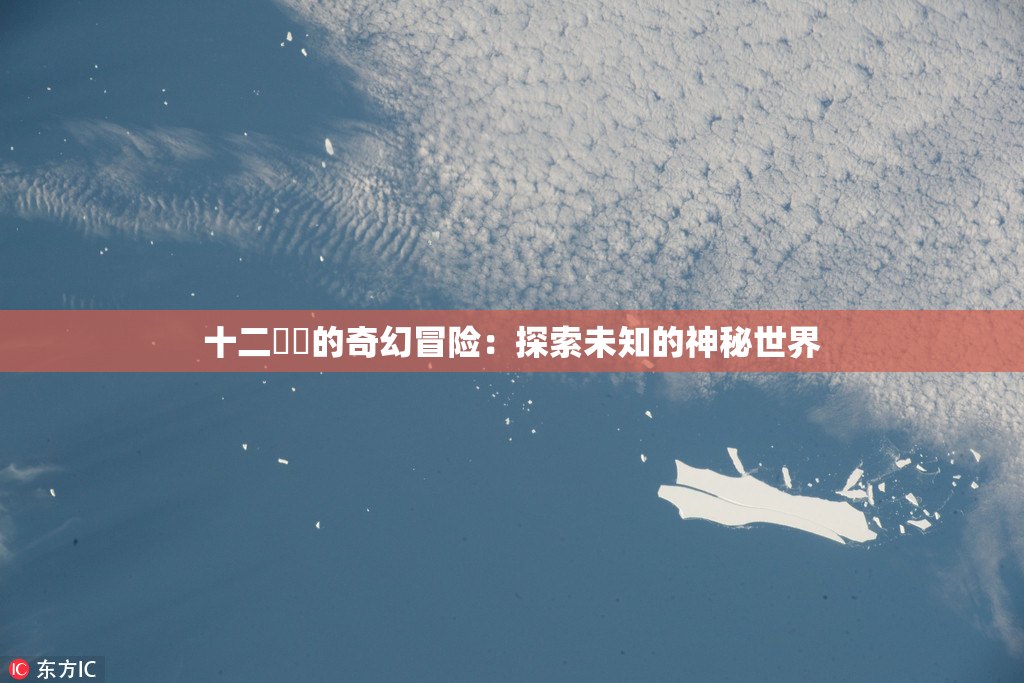 十二妺妺的奇幻冒险：探索未知的神秘世界
