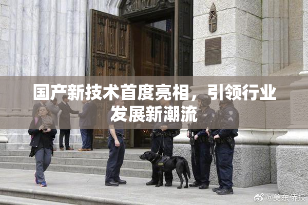 国产新技术首度亮相，引领行业发展新潮流