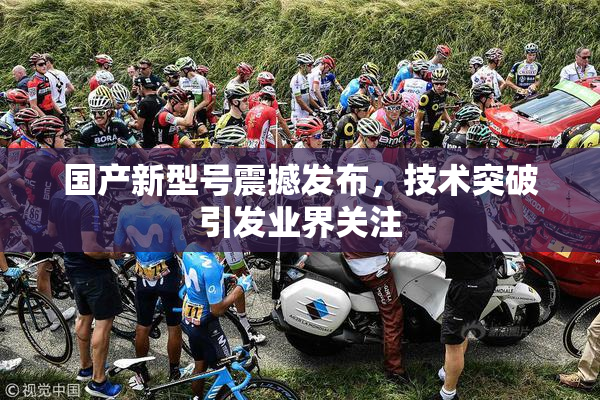 国产新型号震撼发布，技术突破引发业界关注