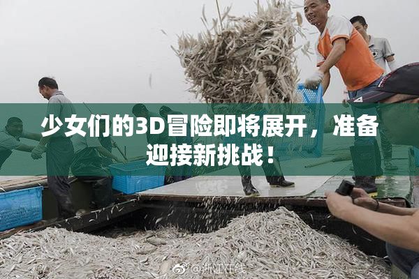 少女们的3D冒险即将展开，准备迎接新挑战！