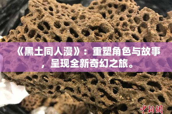 《黑土同人漫》：重塑角色与故事，呈现全新奇幻之旅。