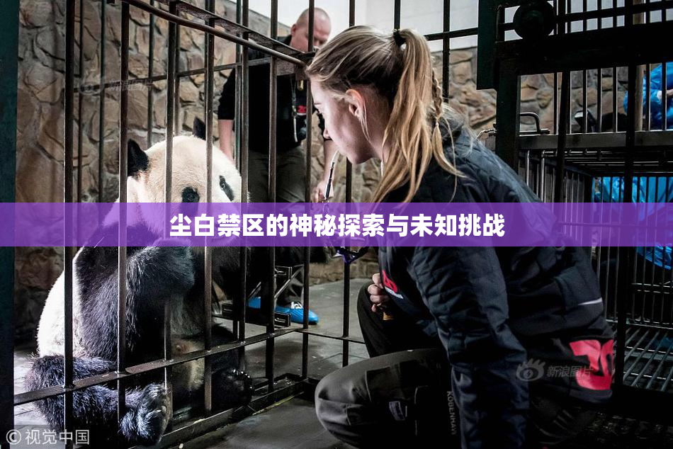 尘白禁区的神秘探索与未知挑战