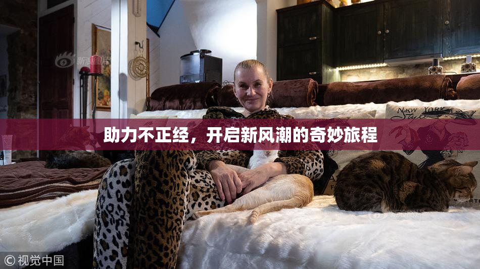 助力不正经，开启新风潮的奇妙旅程