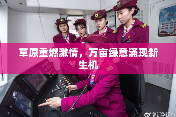 草原重燃激情，万亩绿意涌现新生机