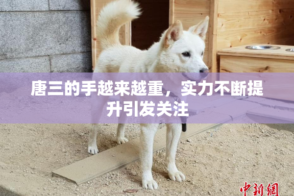 唐三的手越来越重，实力不断提升引发关注