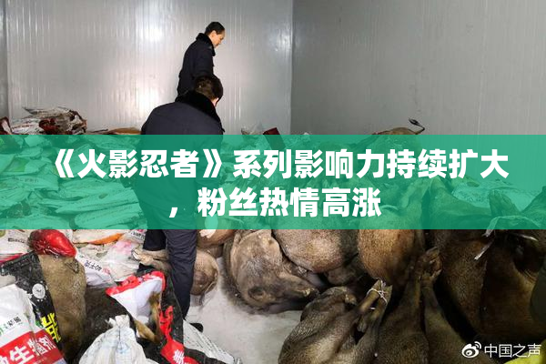 《火影忍者》系列影响力持续扩大，粉丝热情高涨