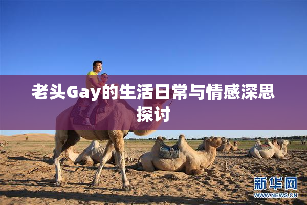 老头Gay的生活日常与情感深思探讨