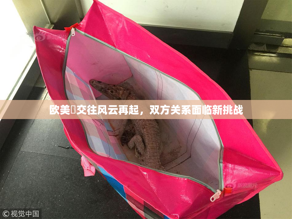 欧美巜交往风云再起，双方关系面临新挑战