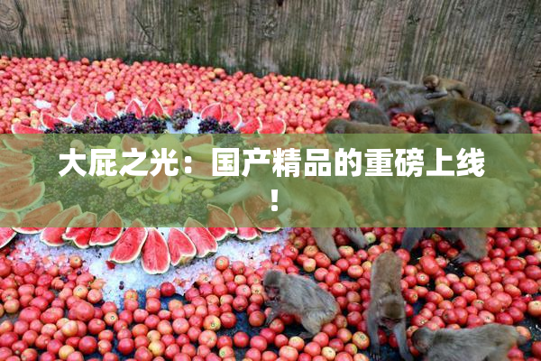 大屁之光：国产精品的重磅上线！