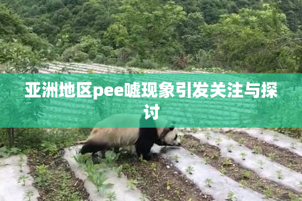 亚洲地区pee嘘现象引发关注与探讨