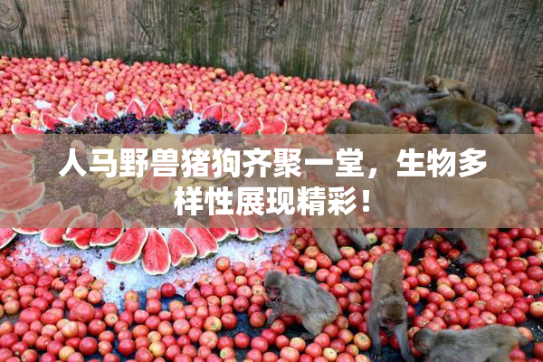 人马野兽猪狗齐聚一堂，生物多样性展现精彩！