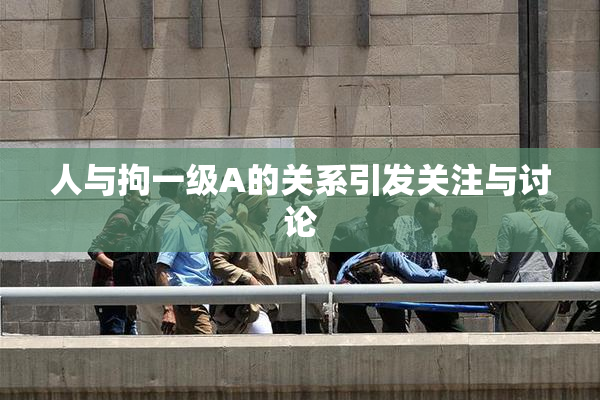 人与拘一级A的关系引发关注与讨论