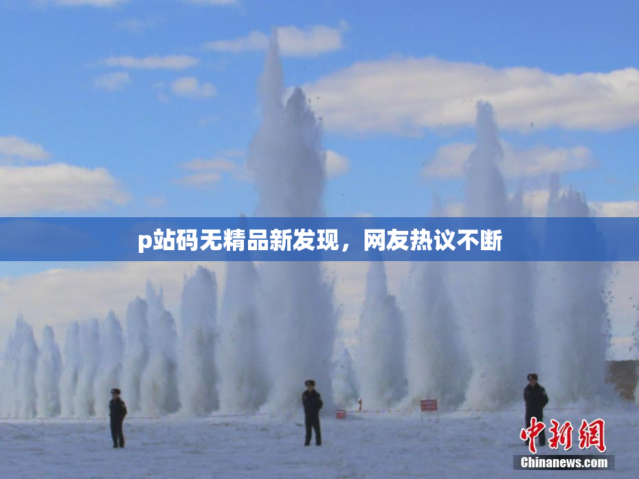 p站码无精品新发现，网友热议不断