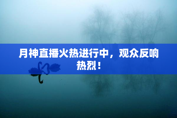 月神直播火热进行中，观众反响热烈！