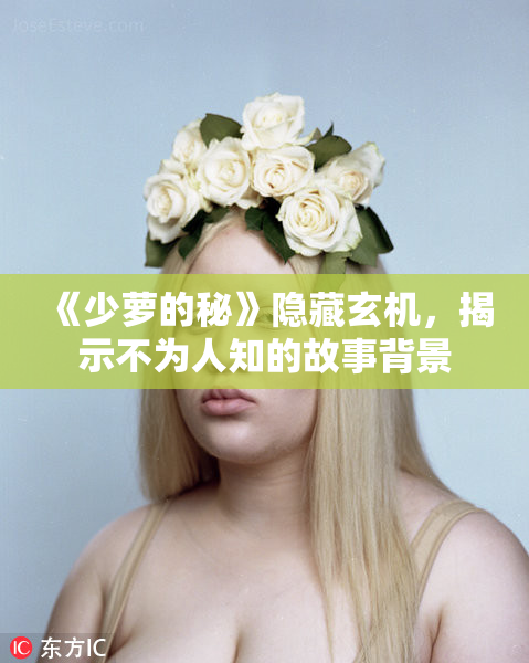 《少萝的秘》隐藏玄机，揭示不为人知的故事背景