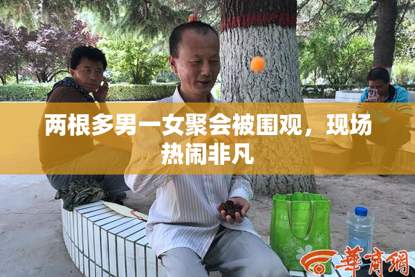 两根多男一女聚会被围观，现场热闹非凡