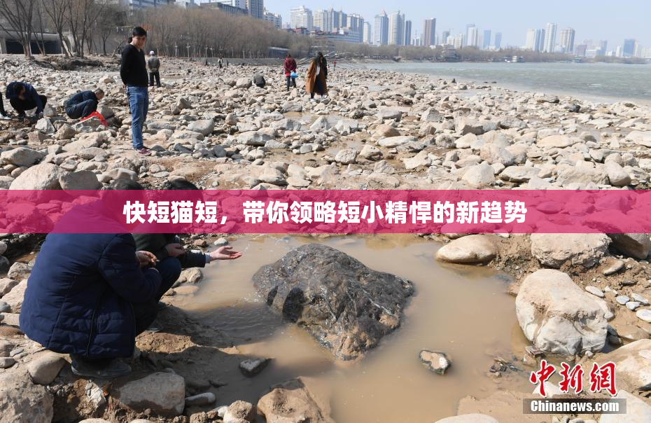 快短猫短，带你领略短小精悍的新趋势