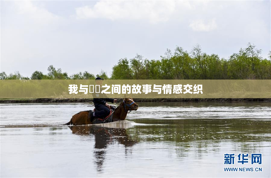 我与妺妺之间的故事与情感交织
