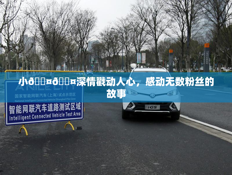 小🐤🐤深情戳动人心，感动无数粉丝的故事