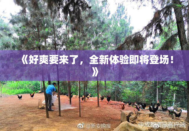 《好爽要来了，全新体验即将登场！》