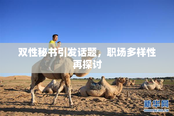 双性秘书引发话题，职场多样性再探讨