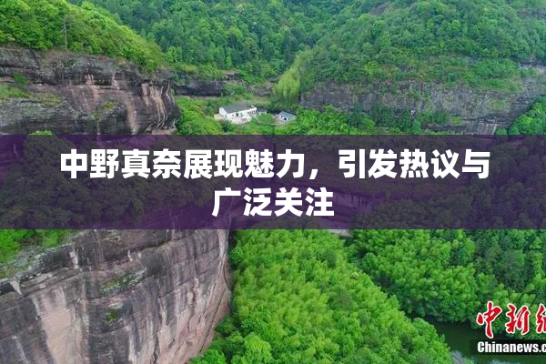 中野真奈展现魅力，引发热议与广泛关注