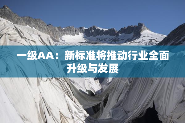 一级AA：新标准将推动行业全面升级与发展